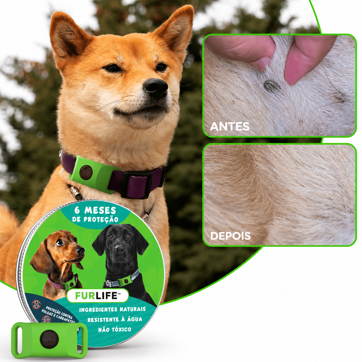 FurLife™ 6 meses livre de pulgas e carrapatos