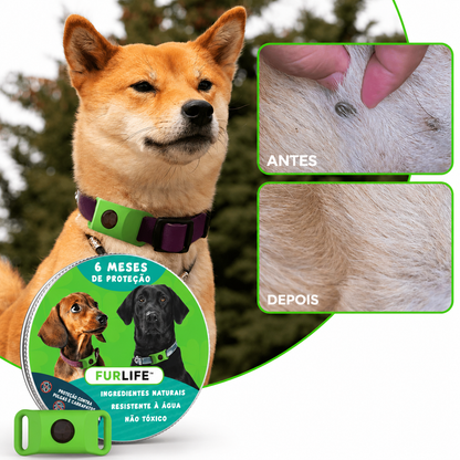 FurLife™ 6 meses livre de pulgas e carrapatos