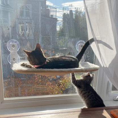 DreamCat™ - Rede Dobrável de Gato